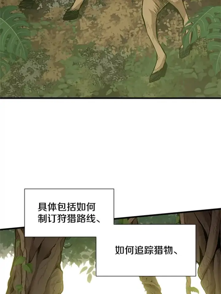 《新手关卡太难了》59.密林（8）图7