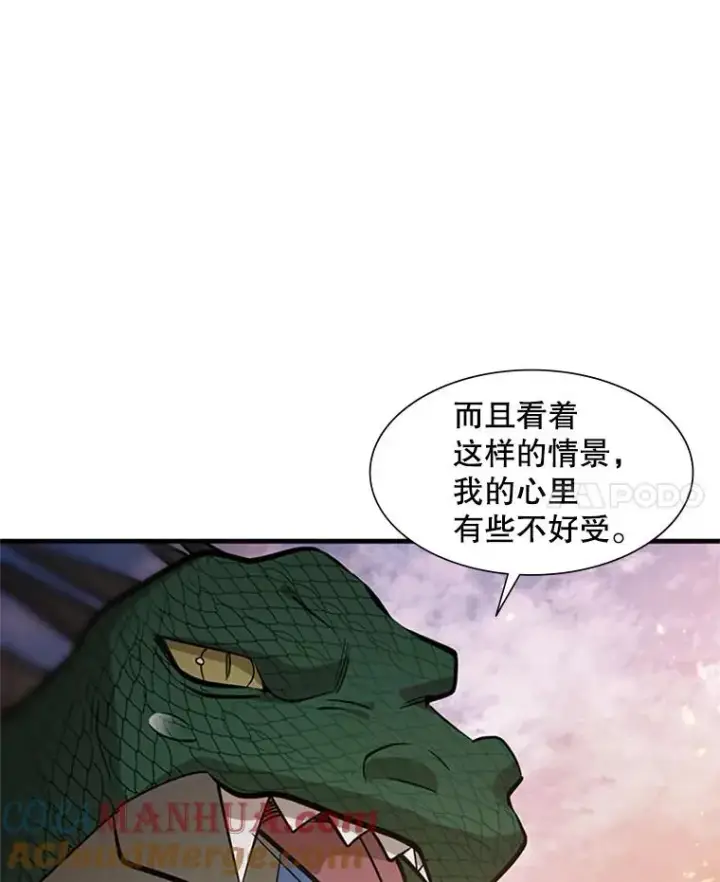 《新手关卡太难了》65.伪龙图25