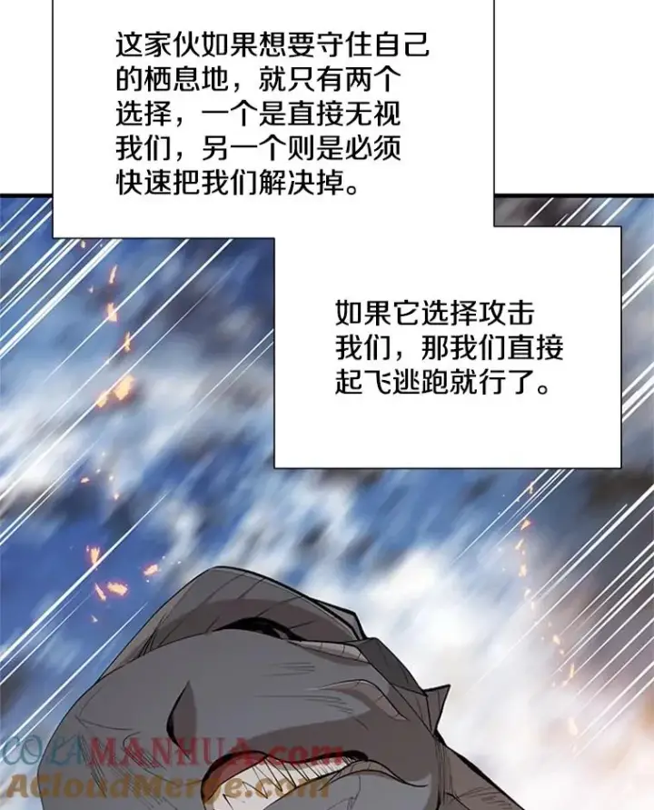 《新手关卡太难了》65.伪龙图77