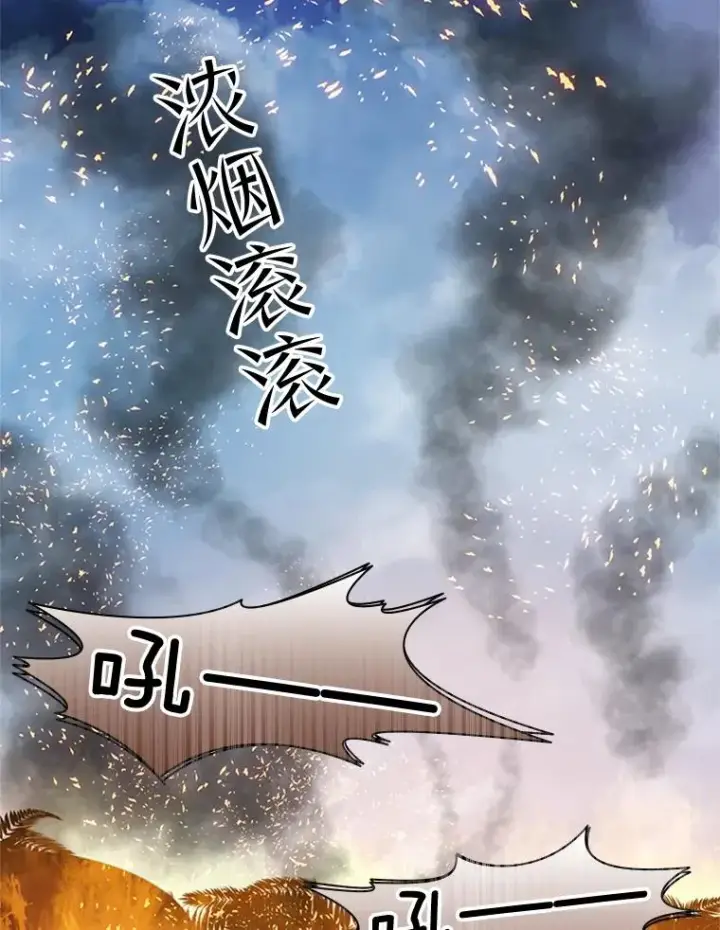 《新手关卡太难了》66.火海图67