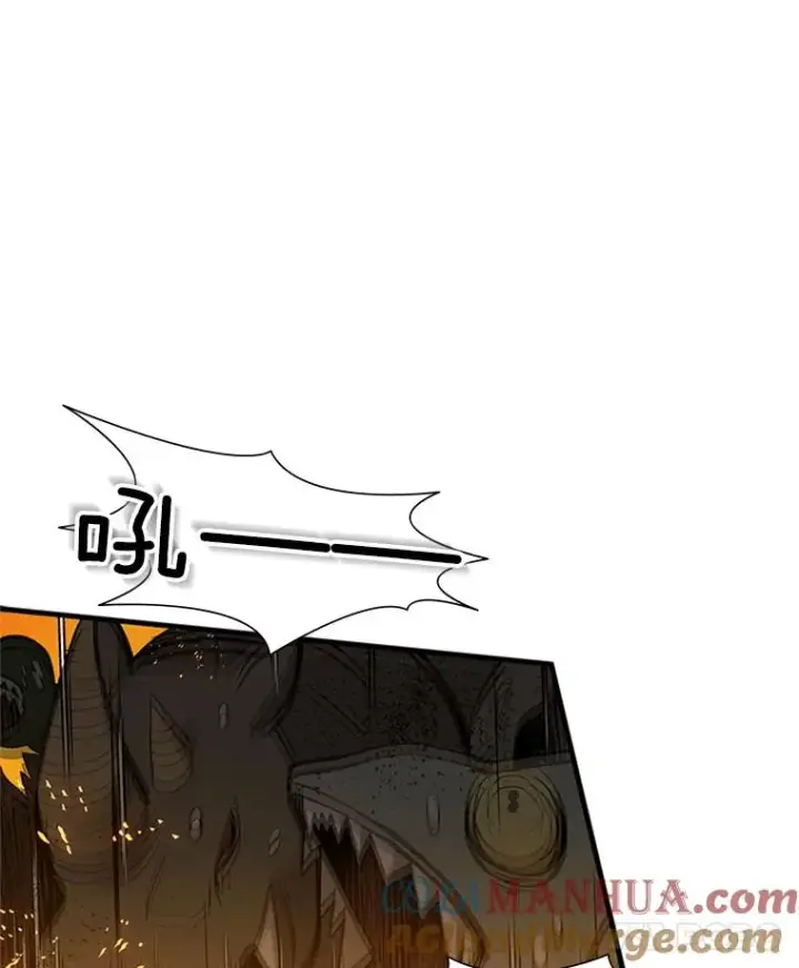 《新手关卡太难了》66.火海图69