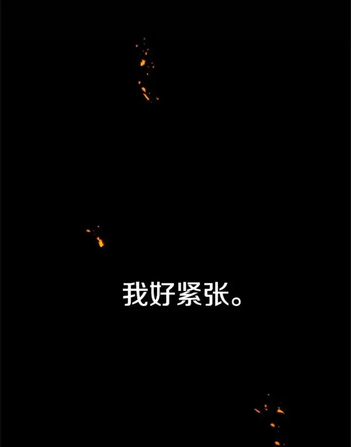 《新手关卡太难了》108.众多视线图47
