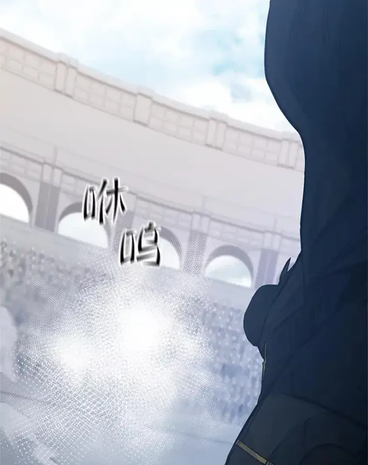 《新手关卡太难了》119.观战图115