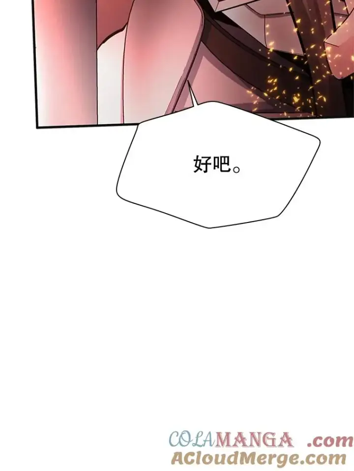 《新手关卡太难了》167.塞雷吉的过去图133