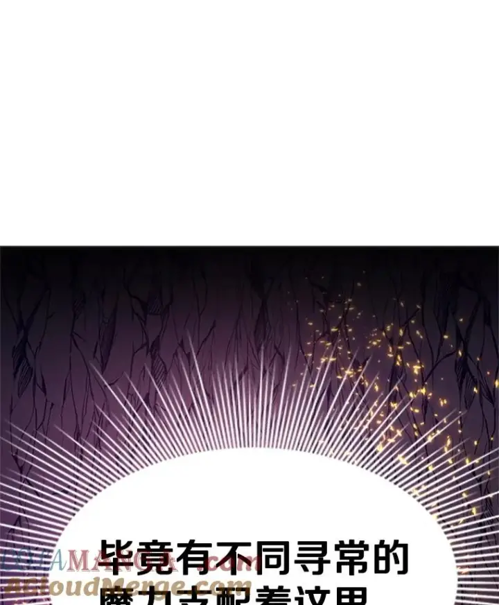 《新手关卡太难了》167.塞雷吉的过去图137