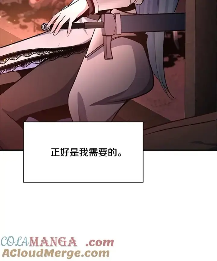 《新手关卡太难了》167.塞雷吉的过去图81