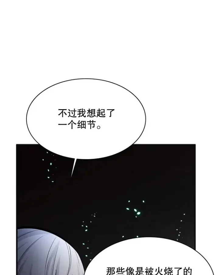 《新手关卡太难了》167.塞雷吉的过去图87