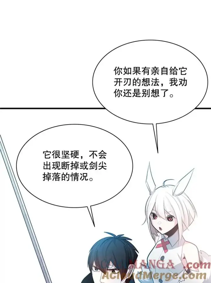 《新手关卡太难了》177.购入新剑图33