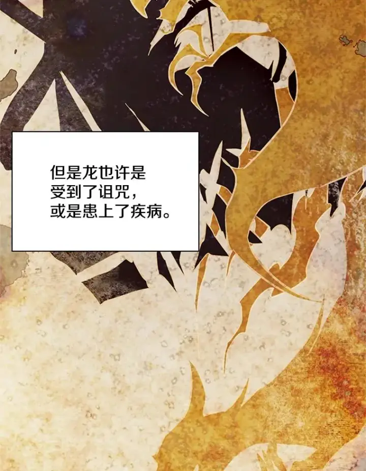 《新手关卡太难了》186.龙语符文图116