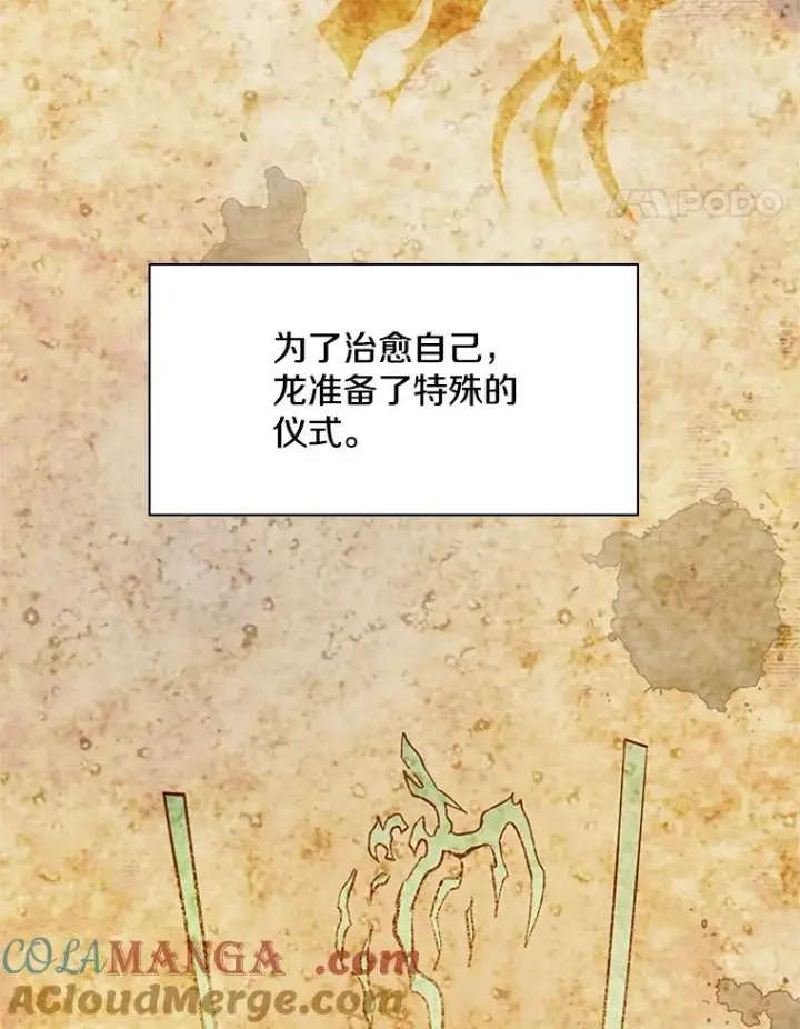 《新手关卡太难了》186.龙语符文图117