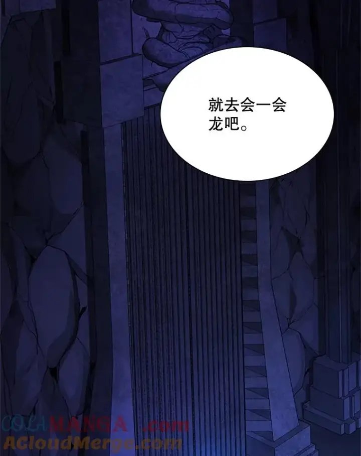 《新手关卡太难了》186.龙语符文图53