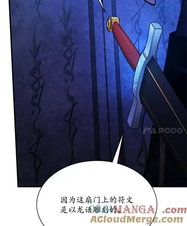 《新手关卡太难了》186.龙语符文图65