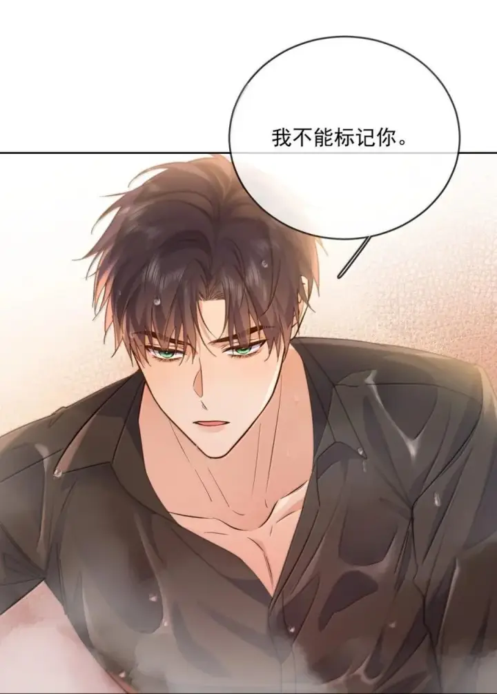 《兄诱弟不恭》第72话 我不能标记你图3