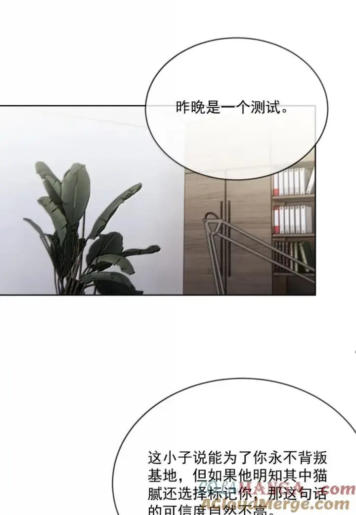 《兄诱弟不恭》第72话 我不能标记你图37