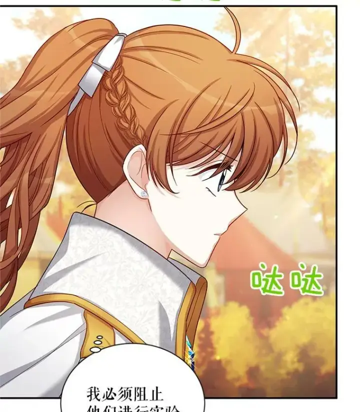 《虚名的公爵之妻》86.改过自新的机会图74