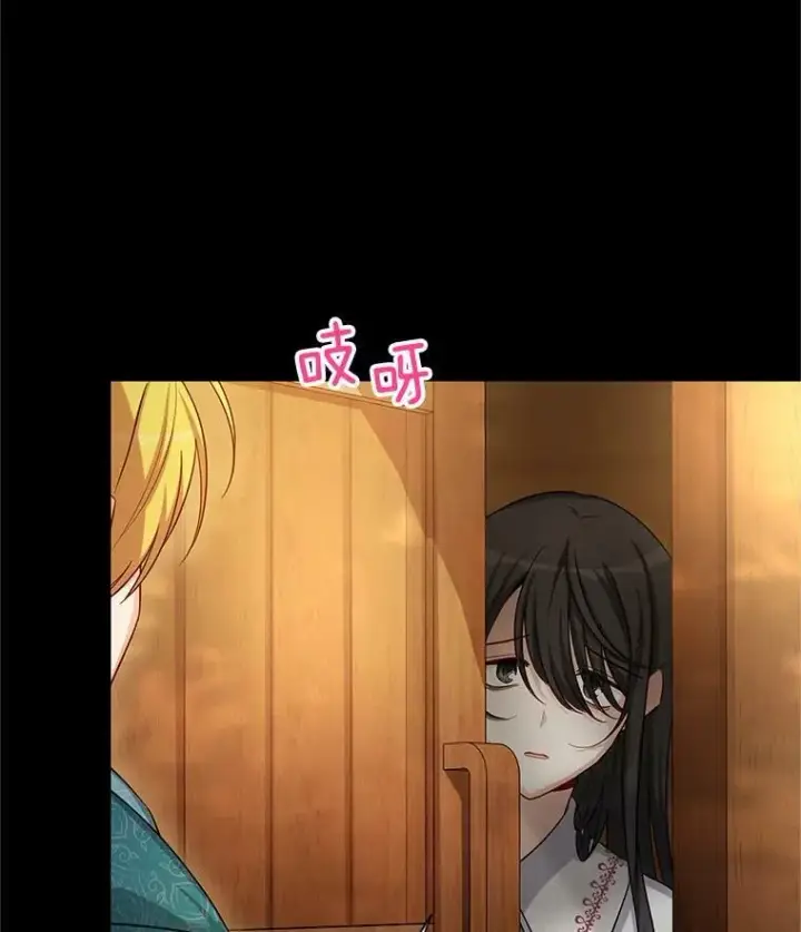 《虚名的公爵之妻》87.初次见面图102