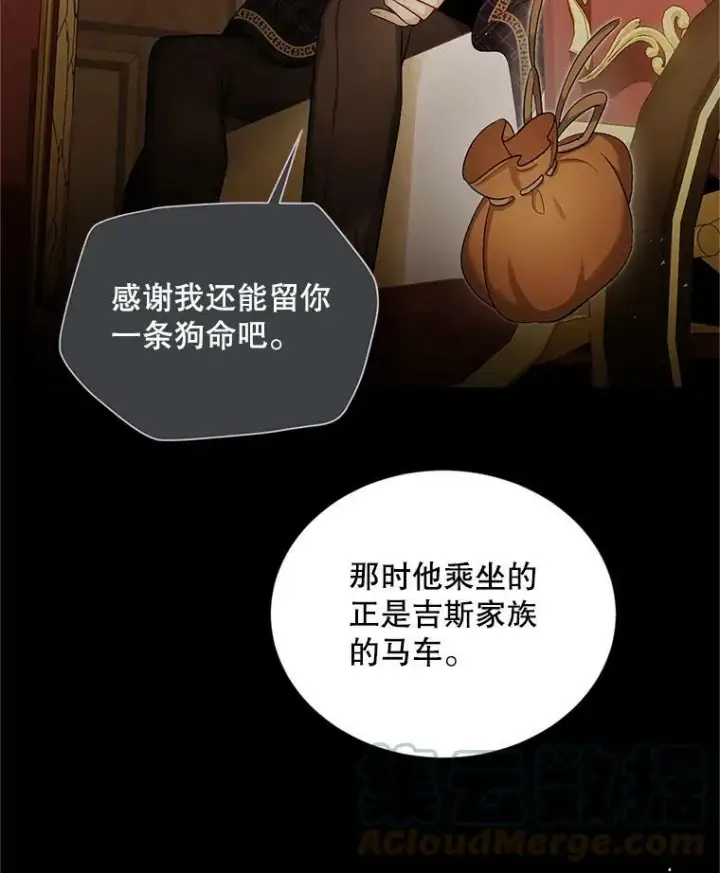 《虚名的公爵之妻》89.幕后黑手图97