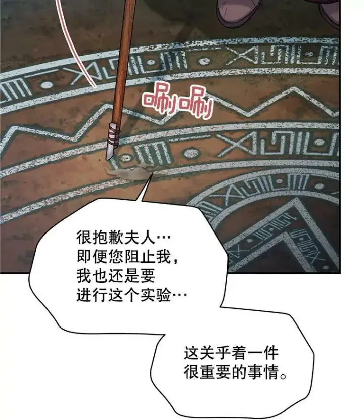 《虚名的公爵之妻》91.阻止秘籍实验图32