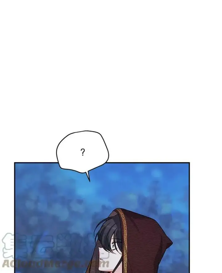 《虚名的公爵之妻》91.阻止秘籍实验图37