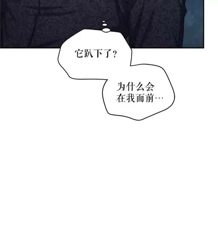 《虚名的公爵之妻》94.黑魔力图38
