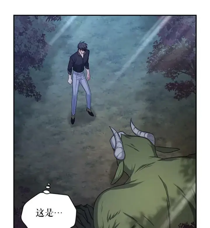 《虚名的公爵之妻》94.黑魔力图44