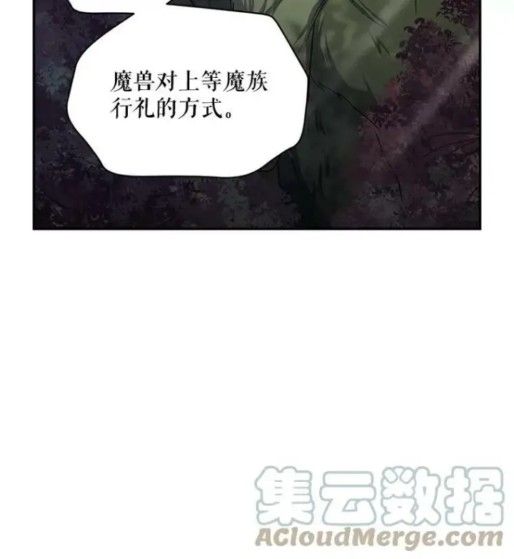 《虚名的公爵之妻》94.黑魔力图45