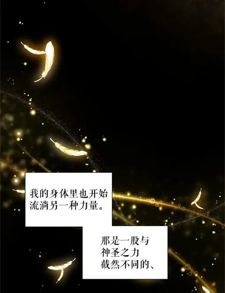 《虚名的公爵之妻》94.黑魔力图52