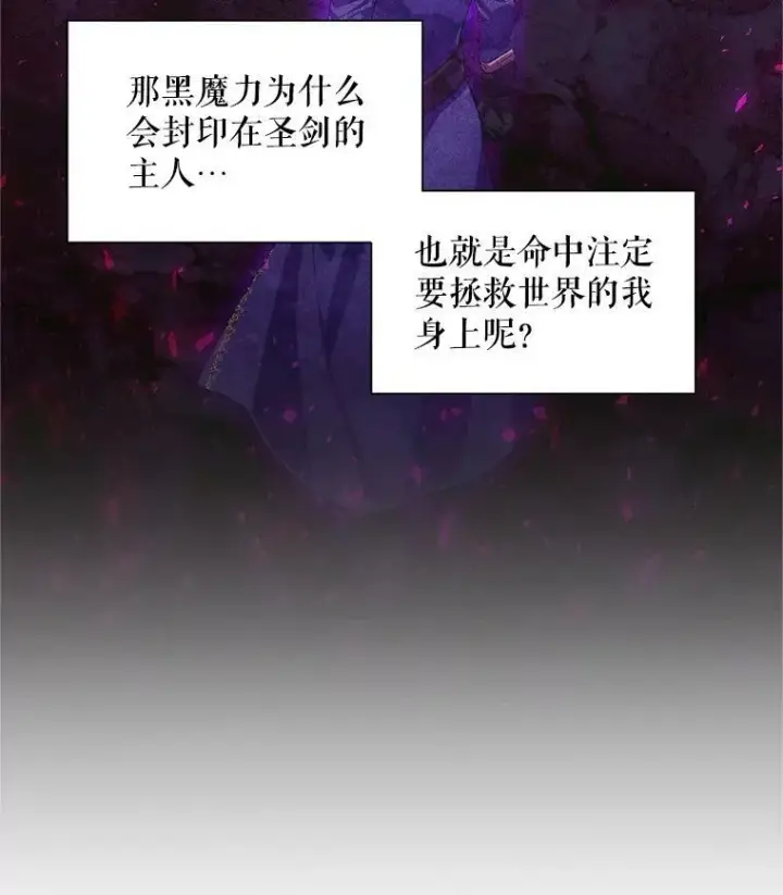 《虚名的公爵之妻》94.黑魔力图62