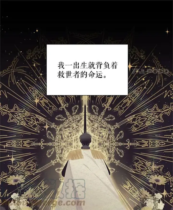 《虚名的公爵之妻》94.黑魔力图65