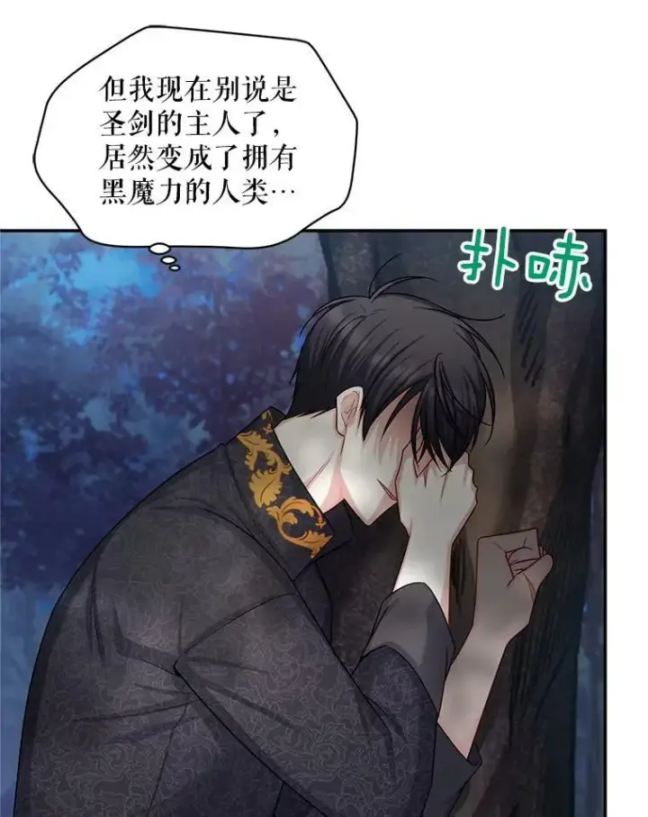 《虚名的公爵之妻》94.黑魔力图71