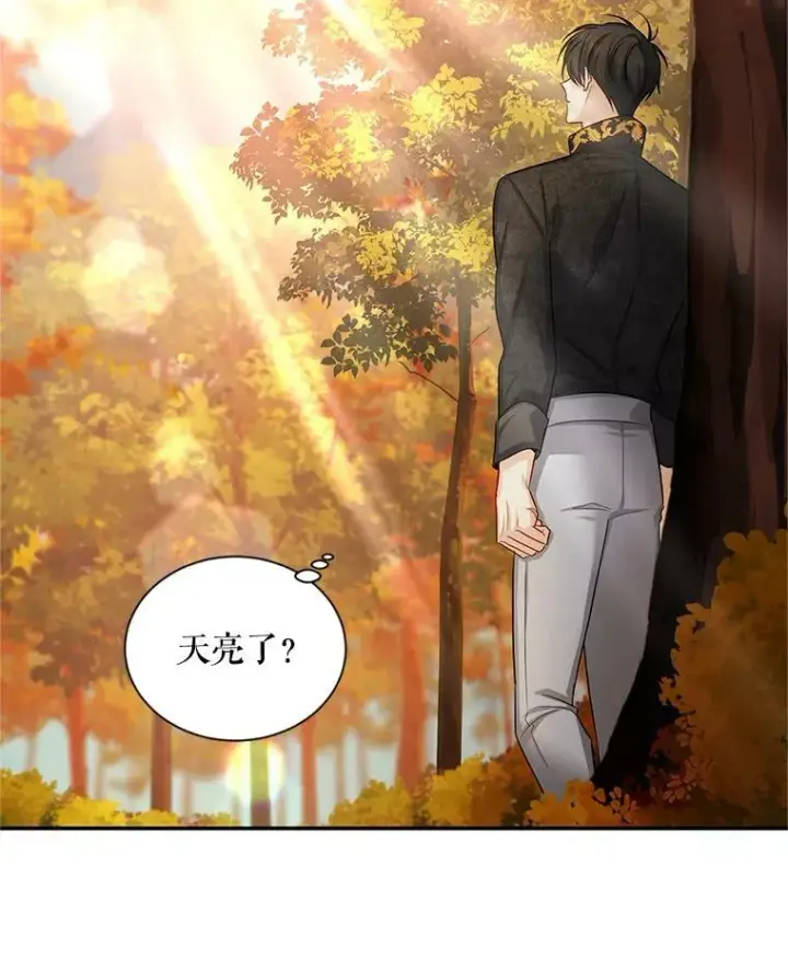 《虚名的公爵之妻》94.黑魔力图87