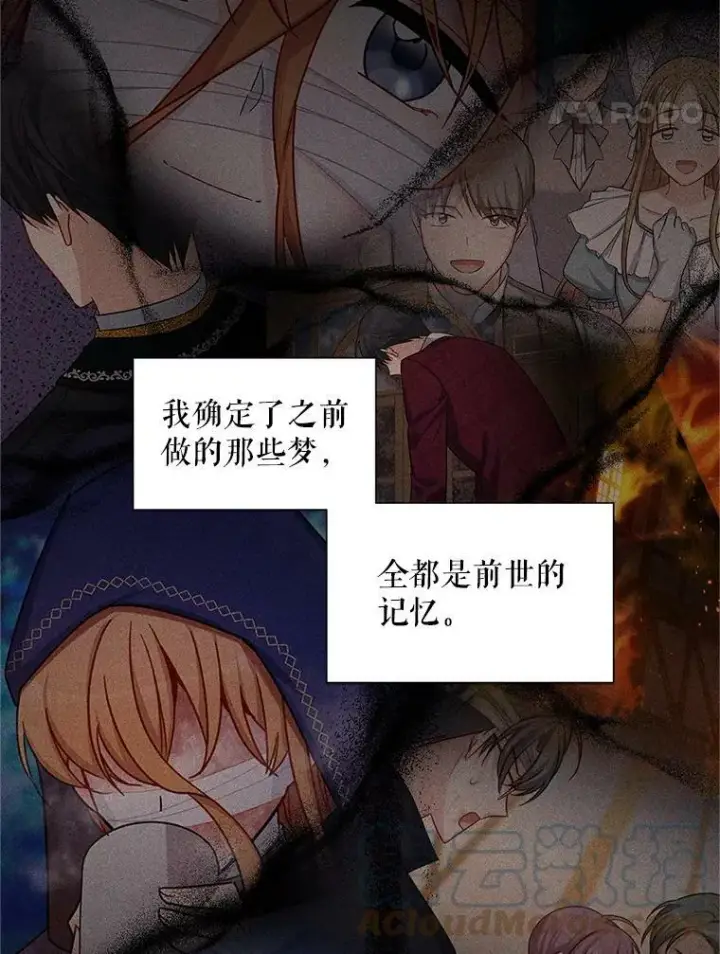 《虚名的公爵之妻》95.前世今生图49