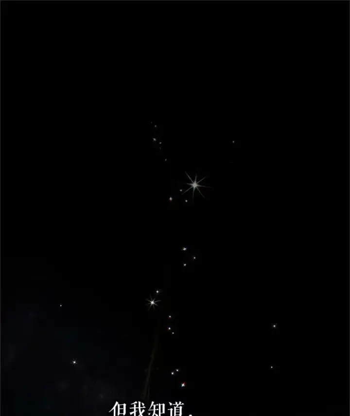 《虚名的公爵之妻》95.前世今生图56