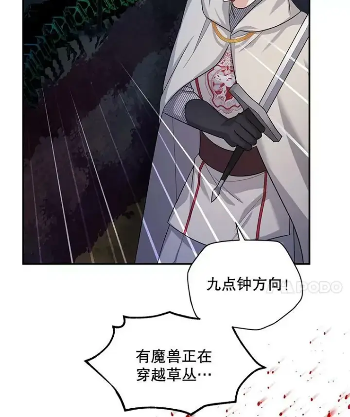 《虚名的公爵之妻》96.黄金召唤师的回归图42
