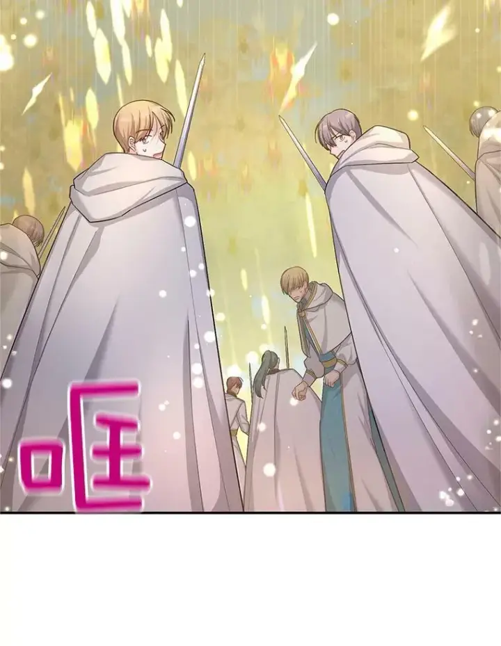 《虚名的公爵之妻》96.黄金召唤师的回归图86