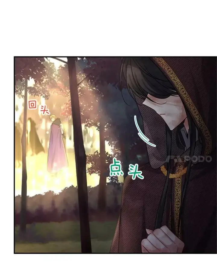 《虚名的公爵之妻》96.黄金召唤师的回归图91