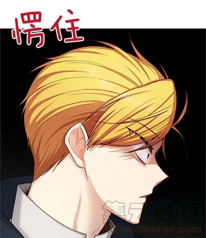 《虚名的公爵之妻》97.无路可退图41