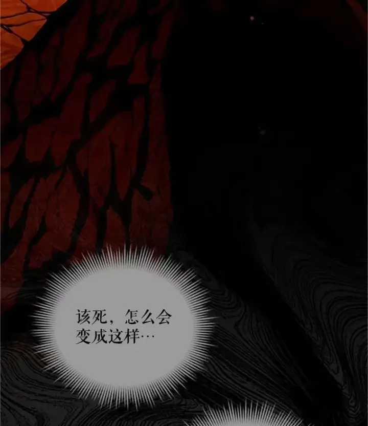 《虚名的公爵之妻》97.无路可退图79