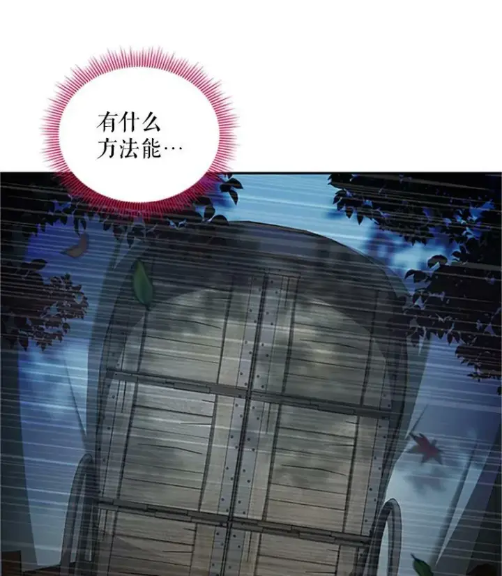 《虚名的公爵之妻》98.逃跑图12