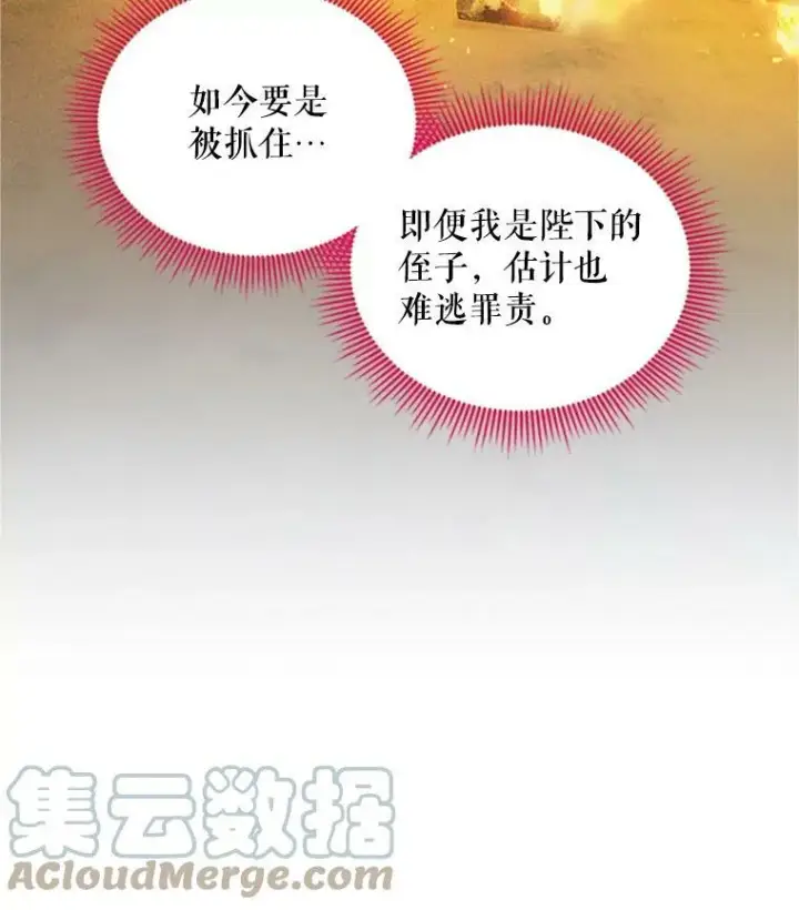 《虚名的公爵之妻》98.逃跑图45