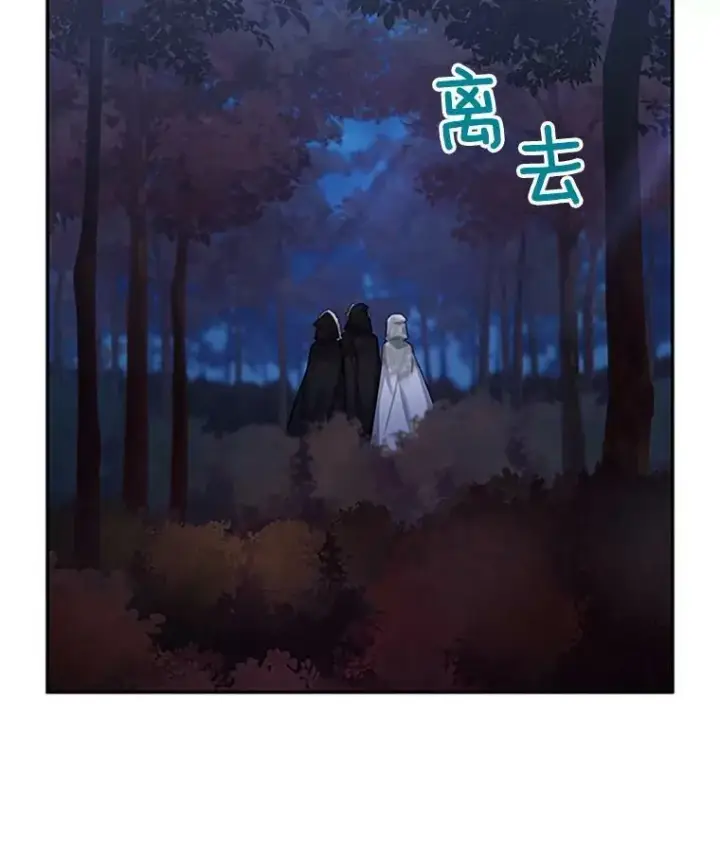 《虚名的公爵之妻》101.平民“加斯帕”图119