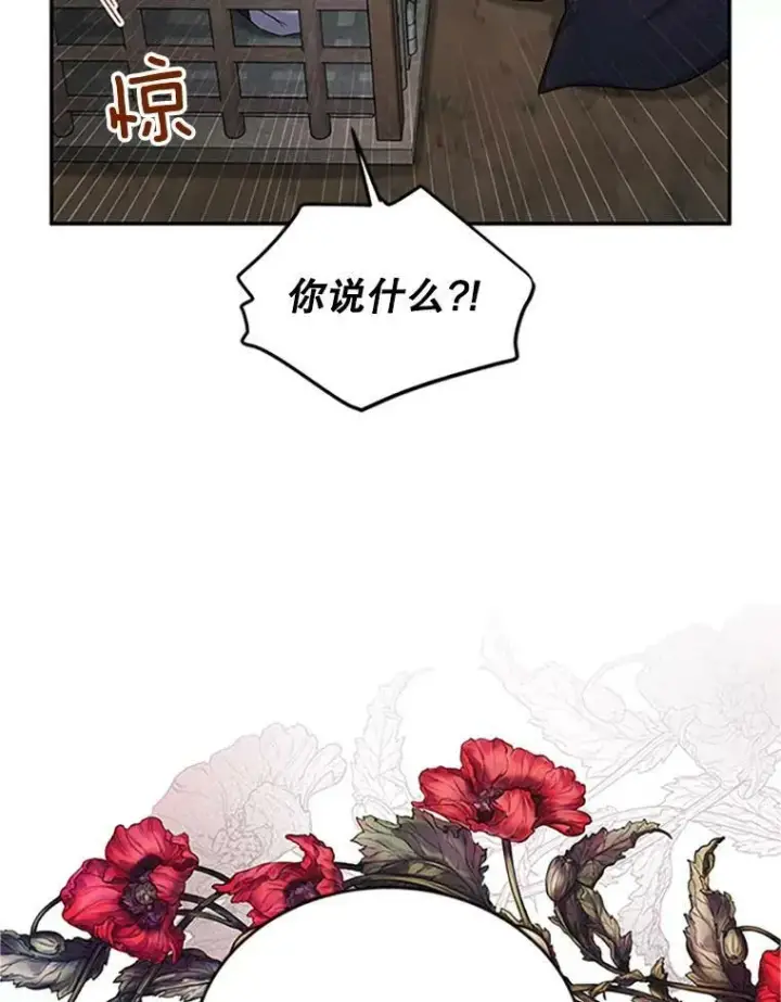 《虚名的公爵之妻》101.平民“加斯帕”图28