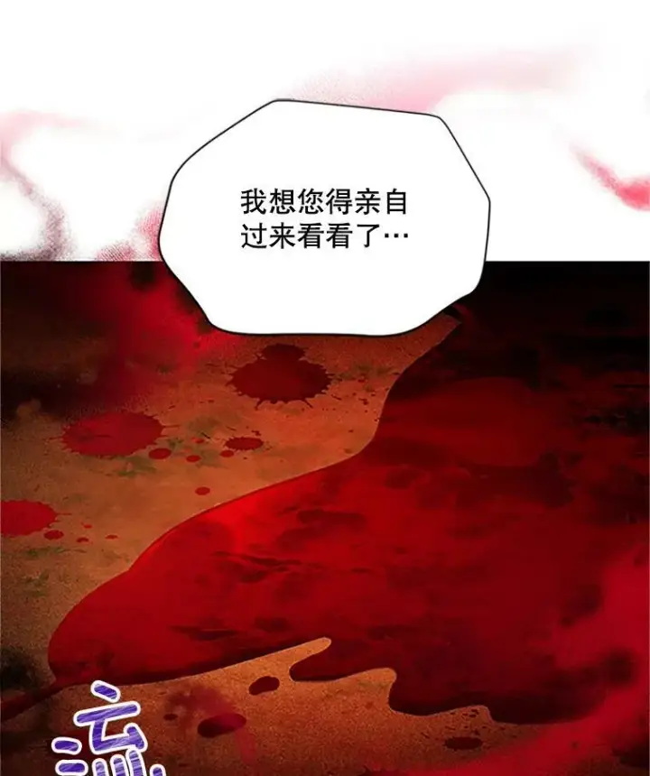 《虚名的公爵之妻》102.遇袭图104