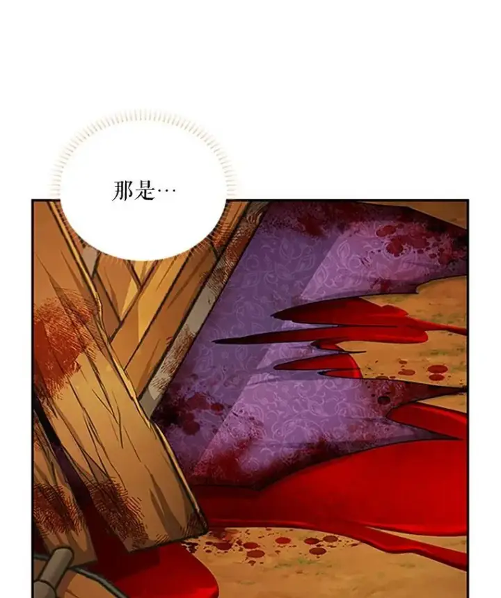 《虚名的公爵之妻》102.遇袭图108