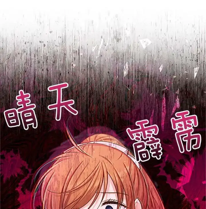 《虚名的公爵之妻》102.遇袭图110