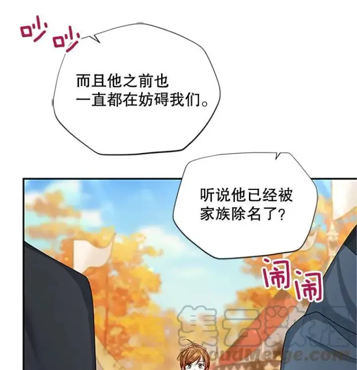 《虚名的公爵之妻》102.遇袭图37