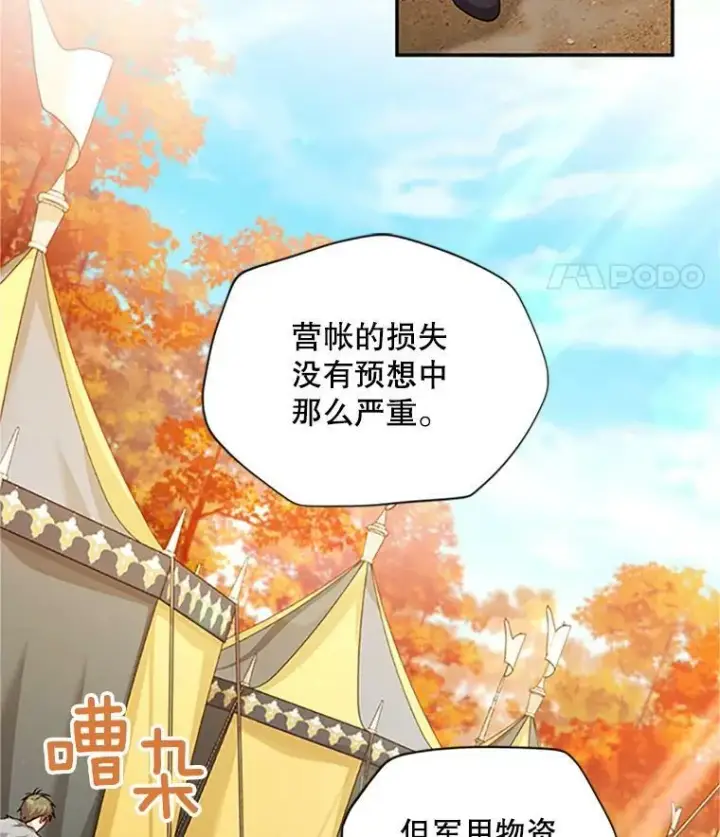 《虚名的公爵之妻》102.遇袭图74