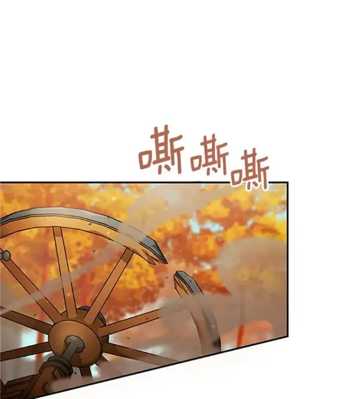 《虚名的公爵之妻》102.遇袭图87