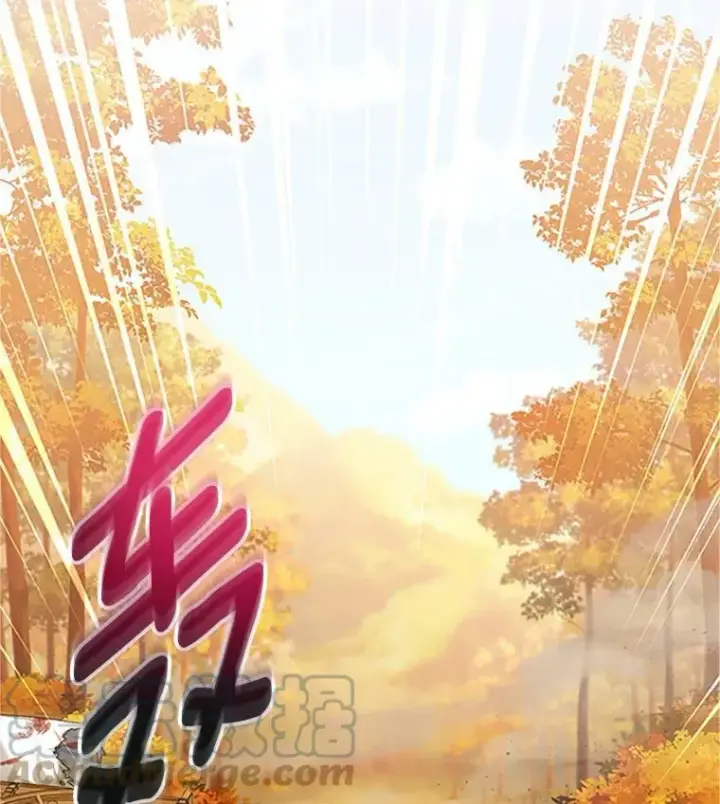《虚名的公爵之妻》102.遇袭图89