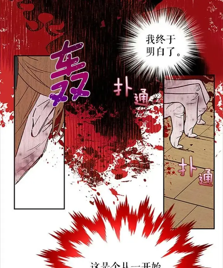 《虚名的公爵之妻》1.惊人的真相图75